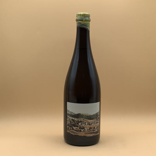 Troddenvale House Cider 2022