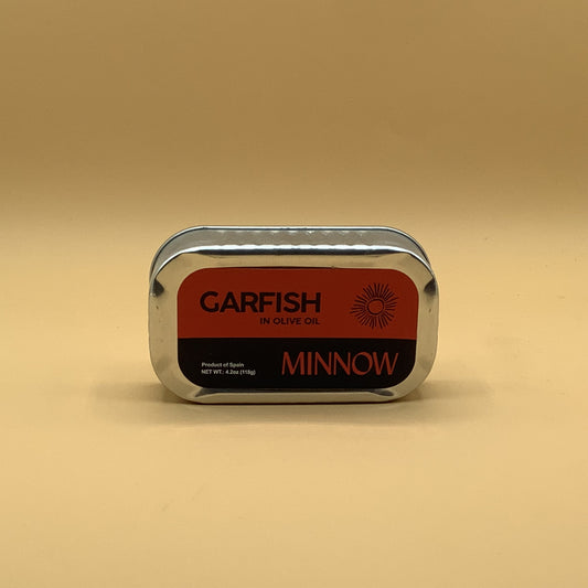 Minnow Garfish