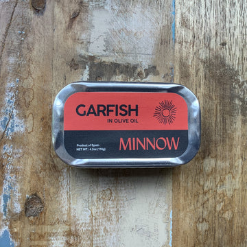 Minnow Garfish