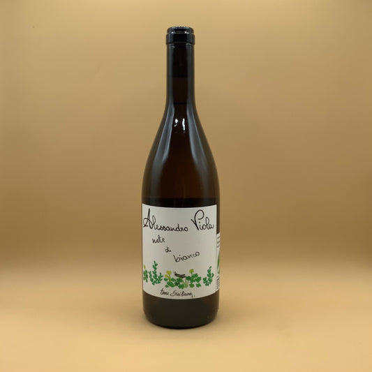 Alessandro Viola Note di Bianco 2024