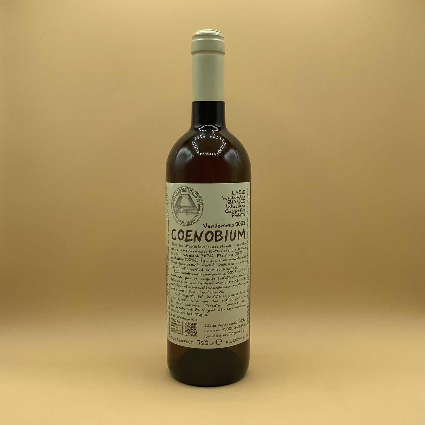 Monastero Suore Cistercensi "Coenobium" 2023