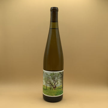 Johan Gruner Veltliner 2021