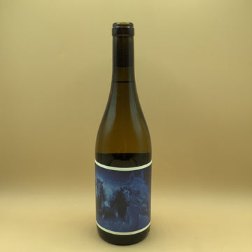 Lightwell Survey Goodbye Horses Riesling 2022