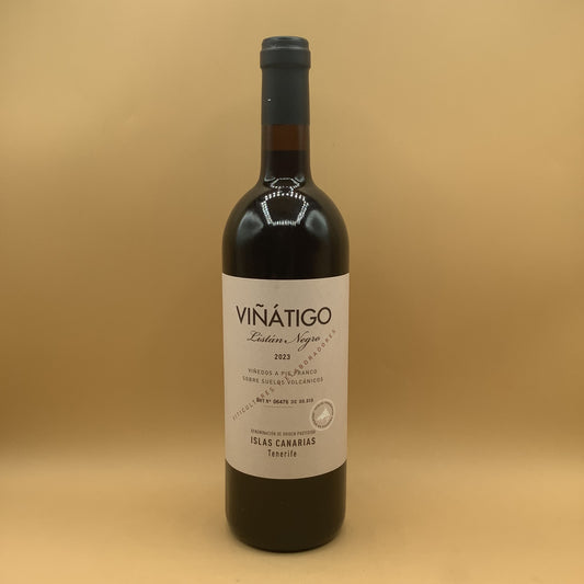 Viñatigo Listan Negro 2023