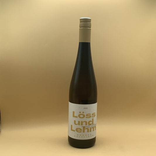 Schodl Loss & Lehm 2024