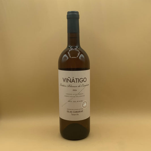 Viñátigo Listan Blanco 2024