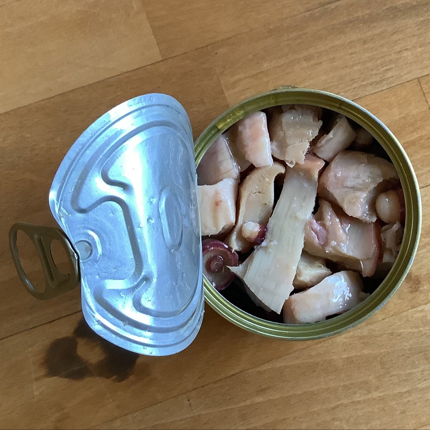 Ekone Oyster Co. Pacific Giant Octopus