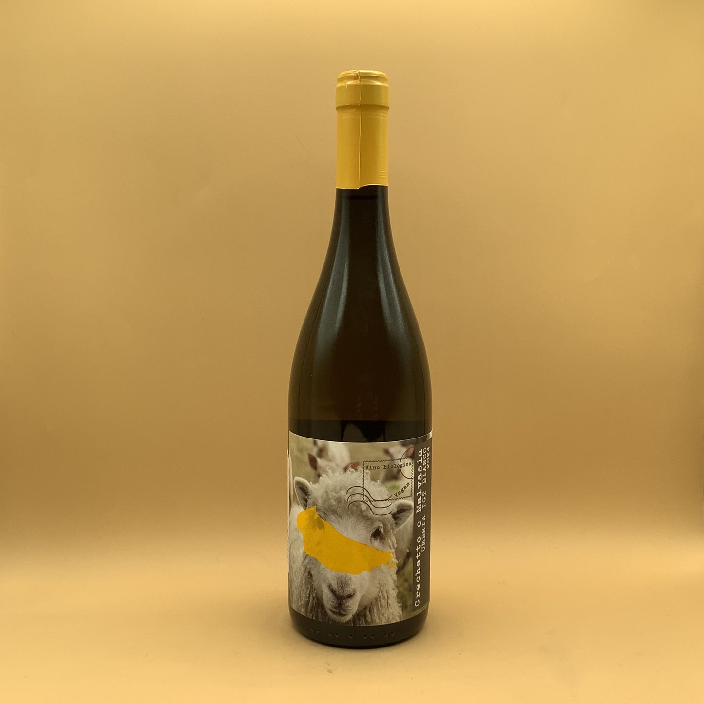 Omero Moretti Umbria Bianco “Nessuno” 2024