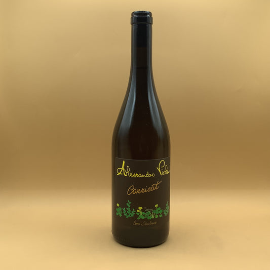 Alessandro Viola Carricat 2024