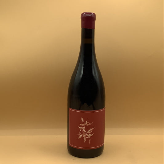 Arnot-Roberts Sonoma Coast Syrah 2024