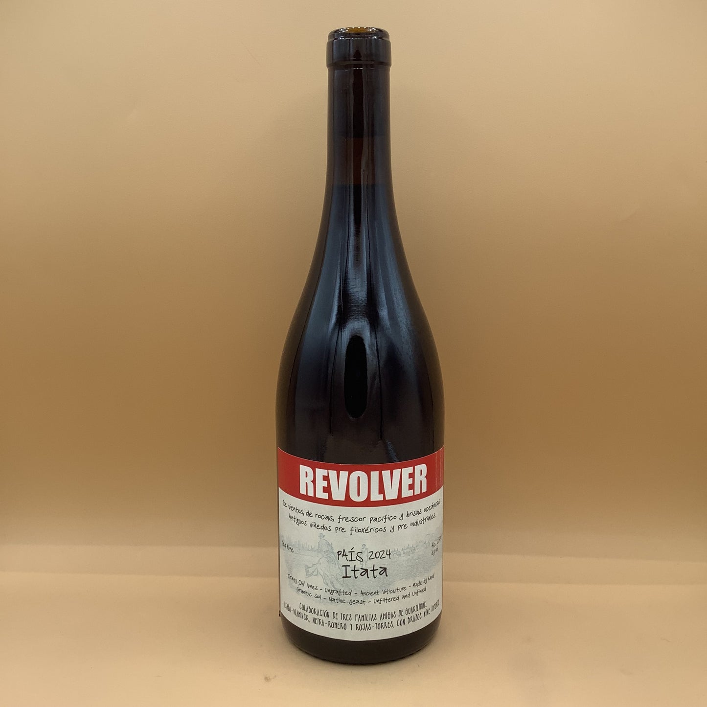 Revolver Pais Itata, 2024