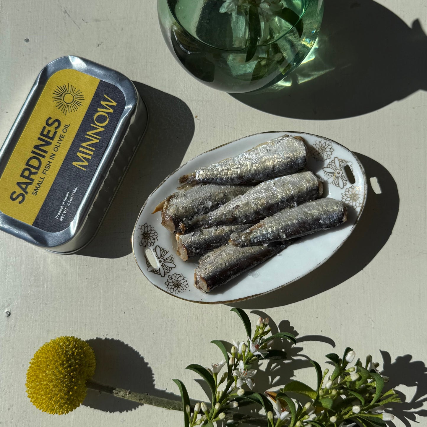 Minnow Sardines