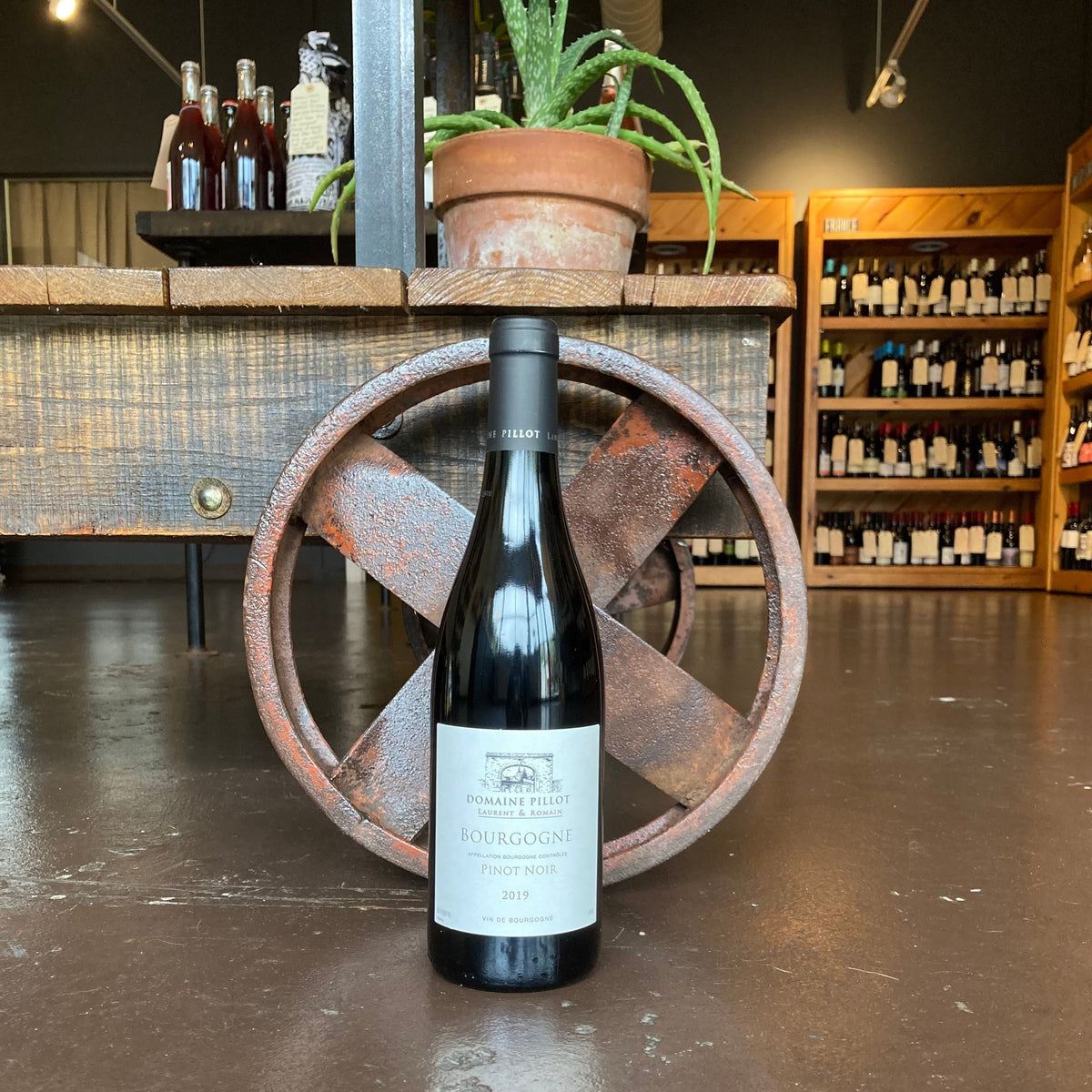 Domaine Pillot Bourgogne Rouge 2024
